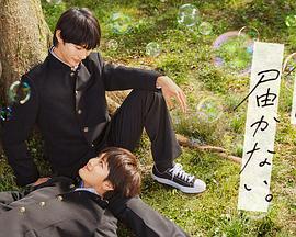 泛页面关键词4099